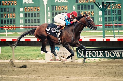 Thoroughbred racehorse and jockey racing — online thoroughbred horse auctions at AtTheGate